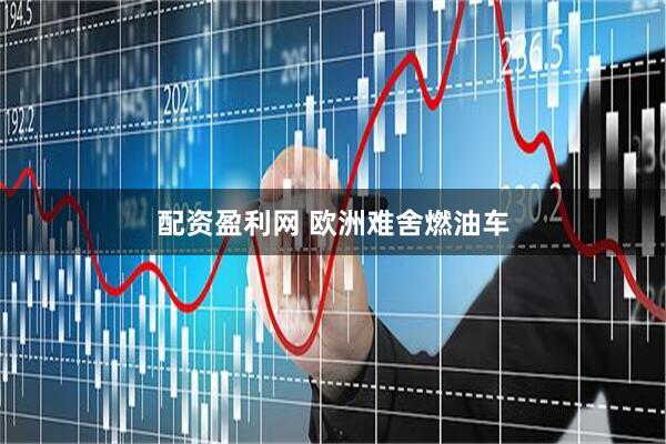 配资盈利网 欧洲难舍燃油车